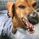 Aldo Giorgi - @aldo.giorgi.75 - Instagram