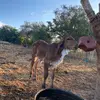 Aldo Gomez - @aldo.gomez673 - TikTok