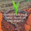 aldo lopez - @aldo.lpez45 - TikTok