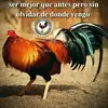 Aldo Rojas - @aldo.rojas29 - TikTok