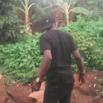 aldo tene - @tenealdo - Instagram