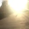 Aldo Tene - @digbick6958 - TikTok