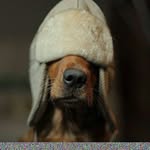 Tenente Aldo Basso - @tenentealdobasso - Instagram