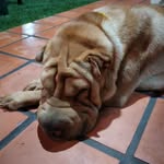 aldo - @aldoventola - Instagram