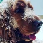 Aldo Vesco - @aldo.ves - Instagram