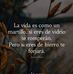 Ale Roman - Facebook