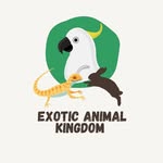 Aleah Jordan ( NYC Pet Sitter ) - @exotic.animal.kingdom - Instagram