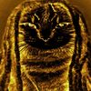 alec_barrett_ - @alec_barrett_ - TikTok
