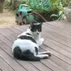 alecbarrettmh9938 - @alecbarrettmh9938 - TikTok