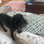 Alec Bates - @grover_the_great2 - Instagram