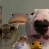 alecbbates - @alecbbates - TikTok