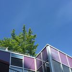 Alec Brady - @flec8 - Instagram