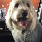 Alec Brock - @brockalec - Instagram