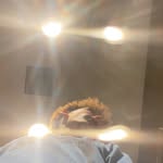 alex burton - @alexburton2022 - Instagram