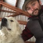 Alec Campbell - @alec_n_hank - Instagram