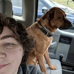 Alec Freeman - @alec_fr33man1 - Instagram