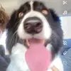 alex Hansen - @alex.hansen122 - TikTok