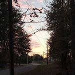 Alex Harmon - @cancuncars - Instagram