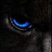 Alec Harris - Facebook