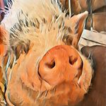 Alec Harris - @alecmharris - Instagram