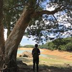 Alec Lam - @aleclam - Instagram