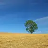 aleclamb480 - @aleclamb480 - TikTok