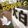 Alec Lin - @alec.lin7 - TikTok