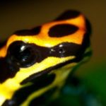 Alec Macdonald - @alec_mac_2007 - Instagram