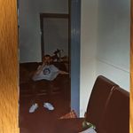 Alec MacDonald - @_alec_macdonald - Instagram