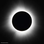 Alec Nelson - Facebook