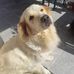 Alex Nemeth - Facebook