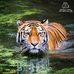 Alec Powell - Facebook