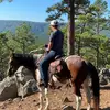 Alec Powell - @alecpowell1 - TikTok