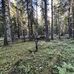 Alec Sawyer - Facebook