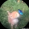 Alec Small - @alec.small4 - TikTok