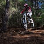 Alec Stanton - @stanton.alec - Instagram