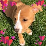 Alex Tatum - @alex.tatum.1466 - Instagram