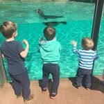 Alex Thornton - @alex.thornton.79274 - Instagram