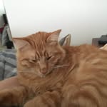 Alec Tomhave - @lordpancake46 - Instagram