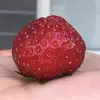 Alec Vallerand - @_alec.vallerand_ - TikTok