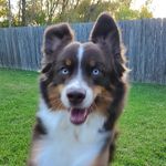 Alec Vance - @avance226 - Instagram