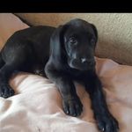 Alec Wallace - @alec__wallace - Instagram