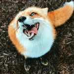 Alec_Way - @n.nogitsune.e - Instagram