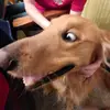 alecwebb103 - @alecwebb103 - TikTok
