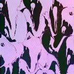 Alec Weber - @alecccw - Instagram