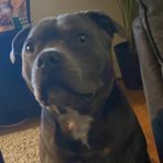 Alec Welsh - Facebook