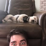 Alec Wheeler - @alecwheels - Instagram