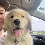 Alec White - @white_alec - Instagram