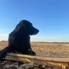 alecwhite927 - @alecwhite927 - TikTok