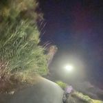 Alec Wilkinson - @alecwilkinson_ - Instagram